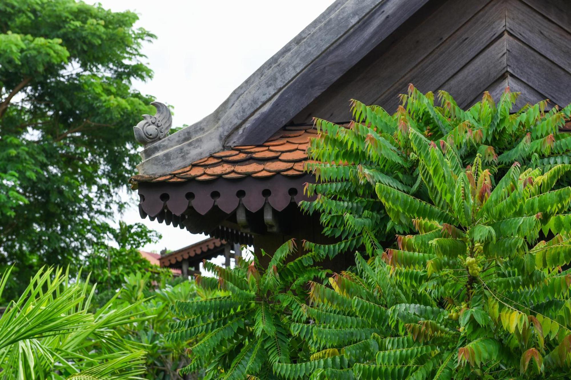 Phum Khmer Lodge - Village Cambodian Eco-Lodge シェムリアップ エクステリア 写真
